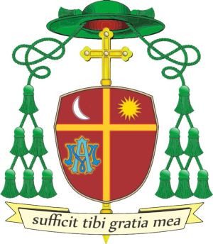 Arms (crest) of Aparecido Donizeti de Souza