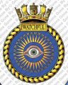 HMS Watchful, Royal Navy.jpg