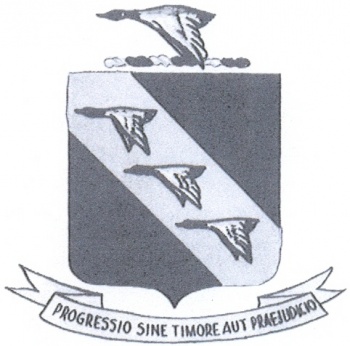 Coat of arms (crest) of 11th Wing, US Air Force