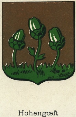 Blason de Hohengœft/Coat of arms (crest) of {{PAGENAME