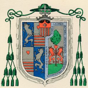 Tarragona-llinas.jpg