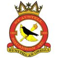 No 1225 (St Austell) Squadron, Air Training Corps.jpg