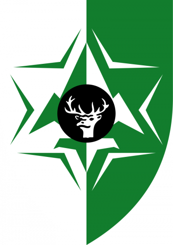 Coat of arms (crest) of Northern Command Intelligence, Israel Defence Forces