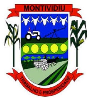 Brasão de Montividiu/Arms (crest) of Montividiu
