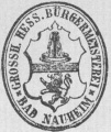 Bad Nauheim1892.jpg