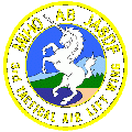 3rd Tactical Airlift Wing, JASDF.gif