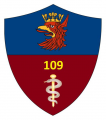109th Military Hospital with Outpatient Clinc SPZOZ, Poland2.png
