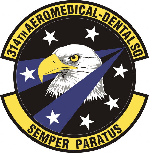 File:314th Aeromedical-Dental Squadron, US Air Force.png