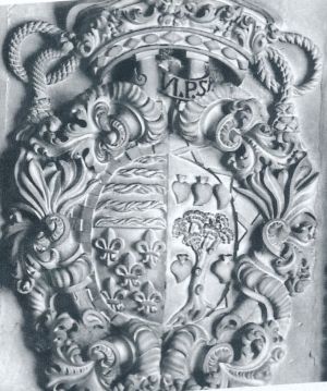 Arms of Rodrigo Marín Rubio