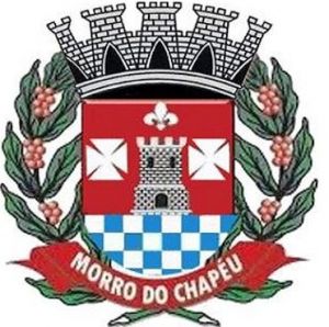 Brasão de Morro do Chapéu/Arms (crest) of Morro do Chapéu