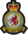 No 644 Volunteer Gliding Squadron, Royal Air Force.png