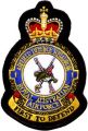 No 1 Airfield Defence Squadron, Royal Australian Air Force.jpg
