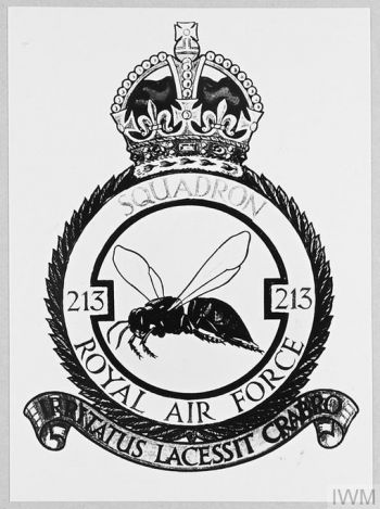 Coat of arms (crest) of the No 213 Squadron, Royal Air Force