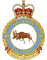 No 419 Squadron, Royal Canadian Air Force.png