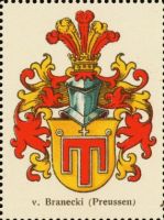 Wappen von Branecki