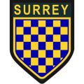 Surrey Army Cadet Force, United Kingdom.jpg