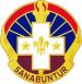 337th Combat Support Hospital, US Army.jpg