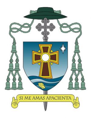 Arms (crest) of Pedro Pablo Elizondo Cárdenas