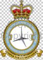 No 5 Force Protection Wing, Royal Air Force.jpg