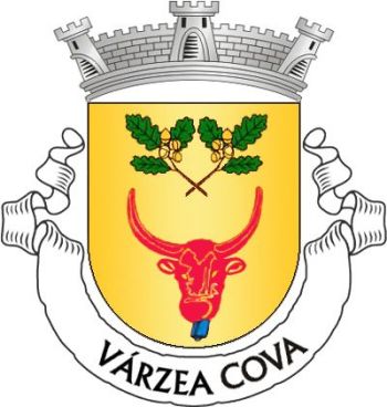 Brasão de Várzea Cova/Arms (crest) of Várzea Cova