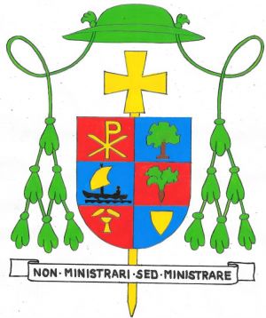 Arms of Michel Visi